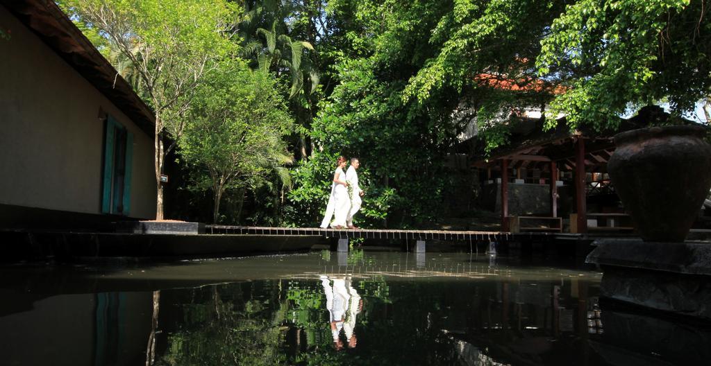 Jetwing Saman Villas, A Luxury Reserve - Adults Only Bentota Luaran gambar